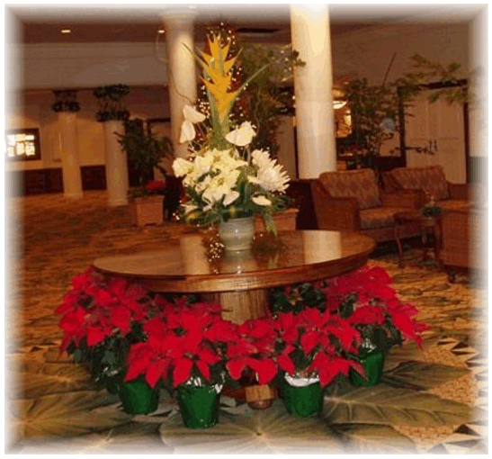 Hotel Flowers!! Hotel Flowers!!